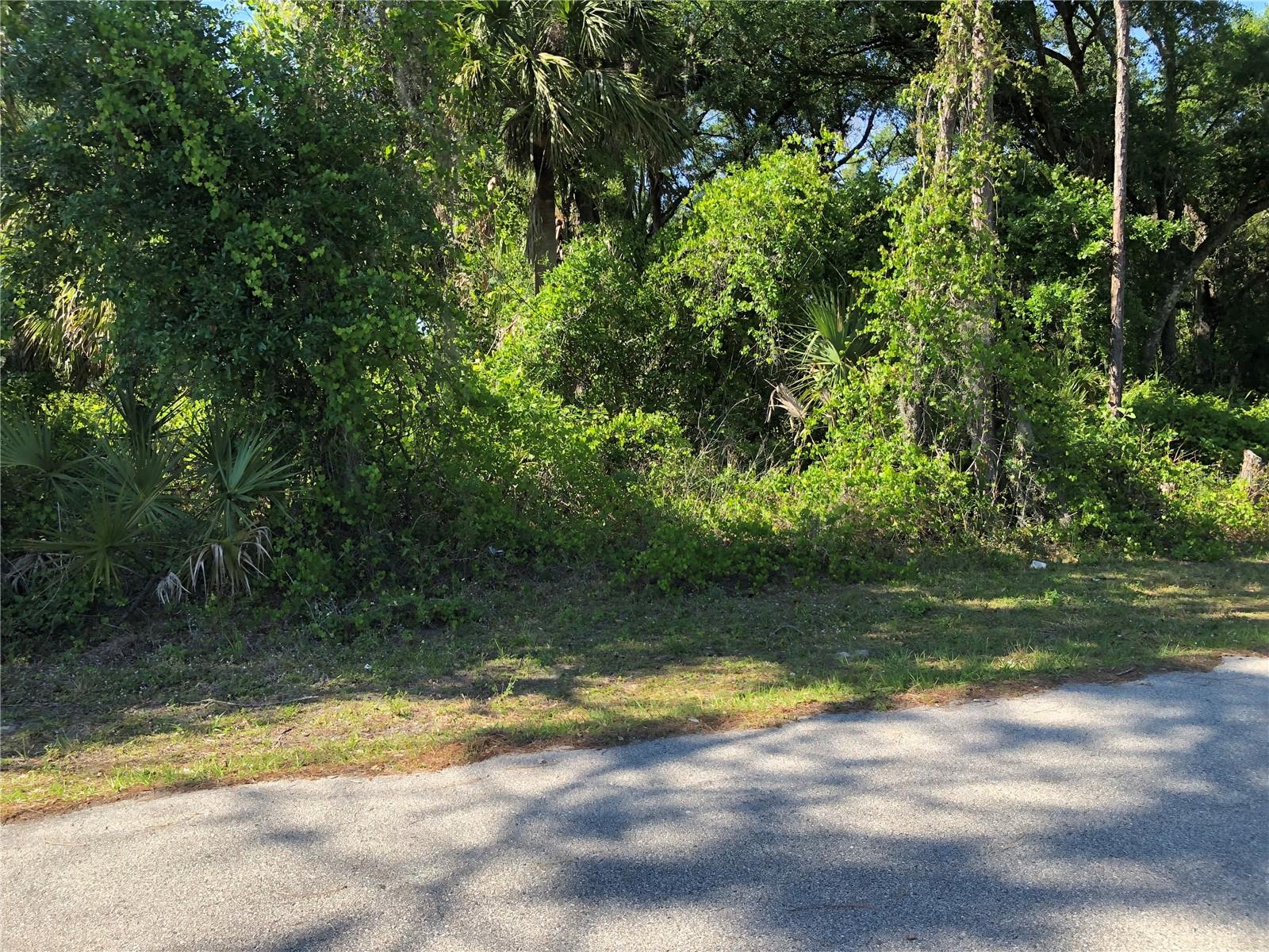 Wilburn Ter Property Photo 2