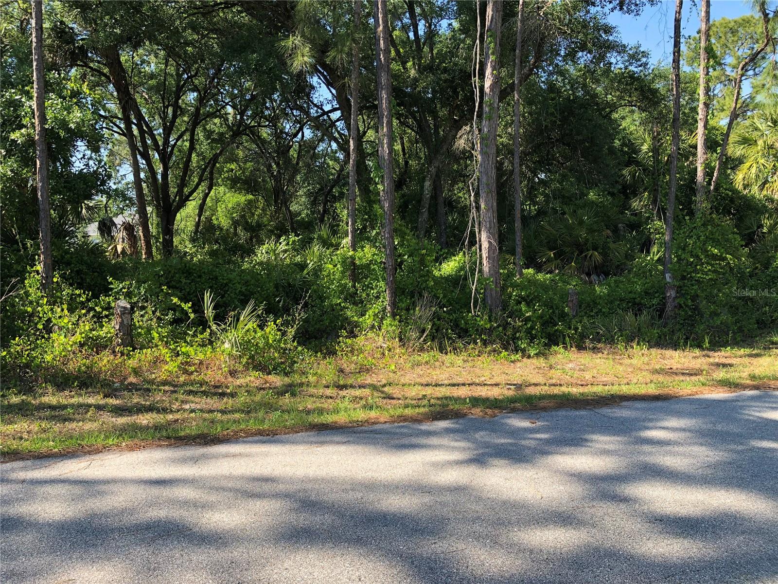 Wilburn Ter Property Photo 4
