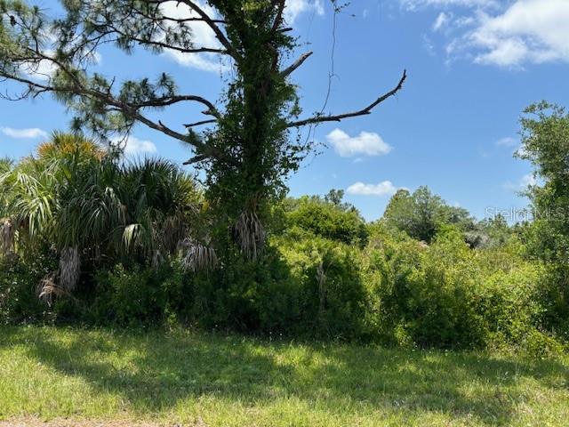 2357 REMAGEN ST Property Photo 1