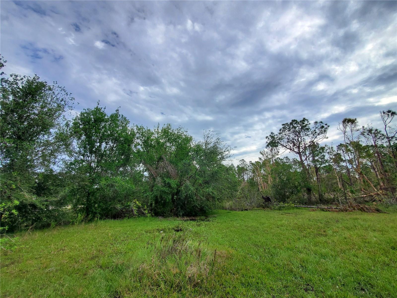 28275 Morningside Dr Property Photo 5