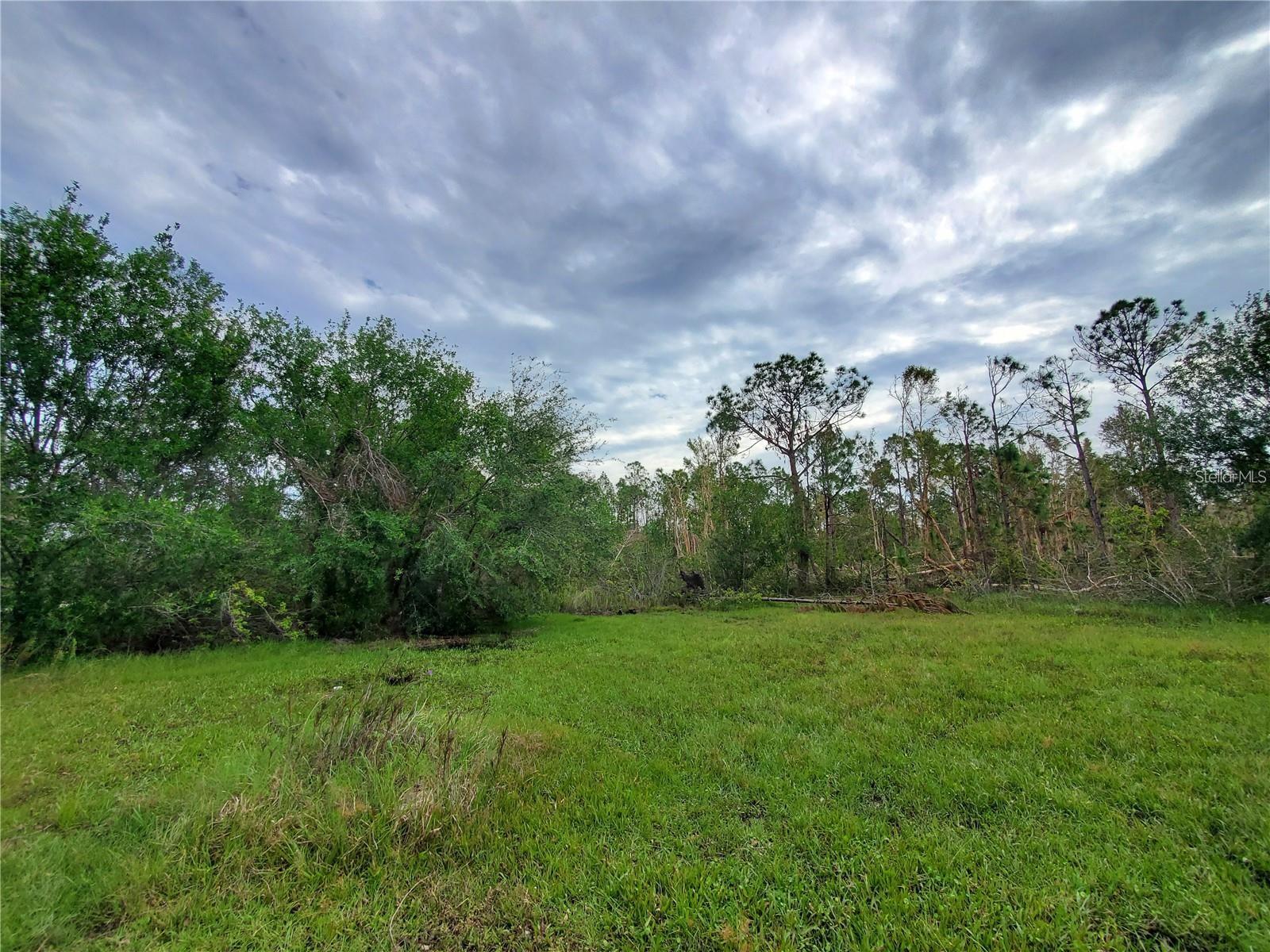 28275 Morningside Dr Property Photo 6
