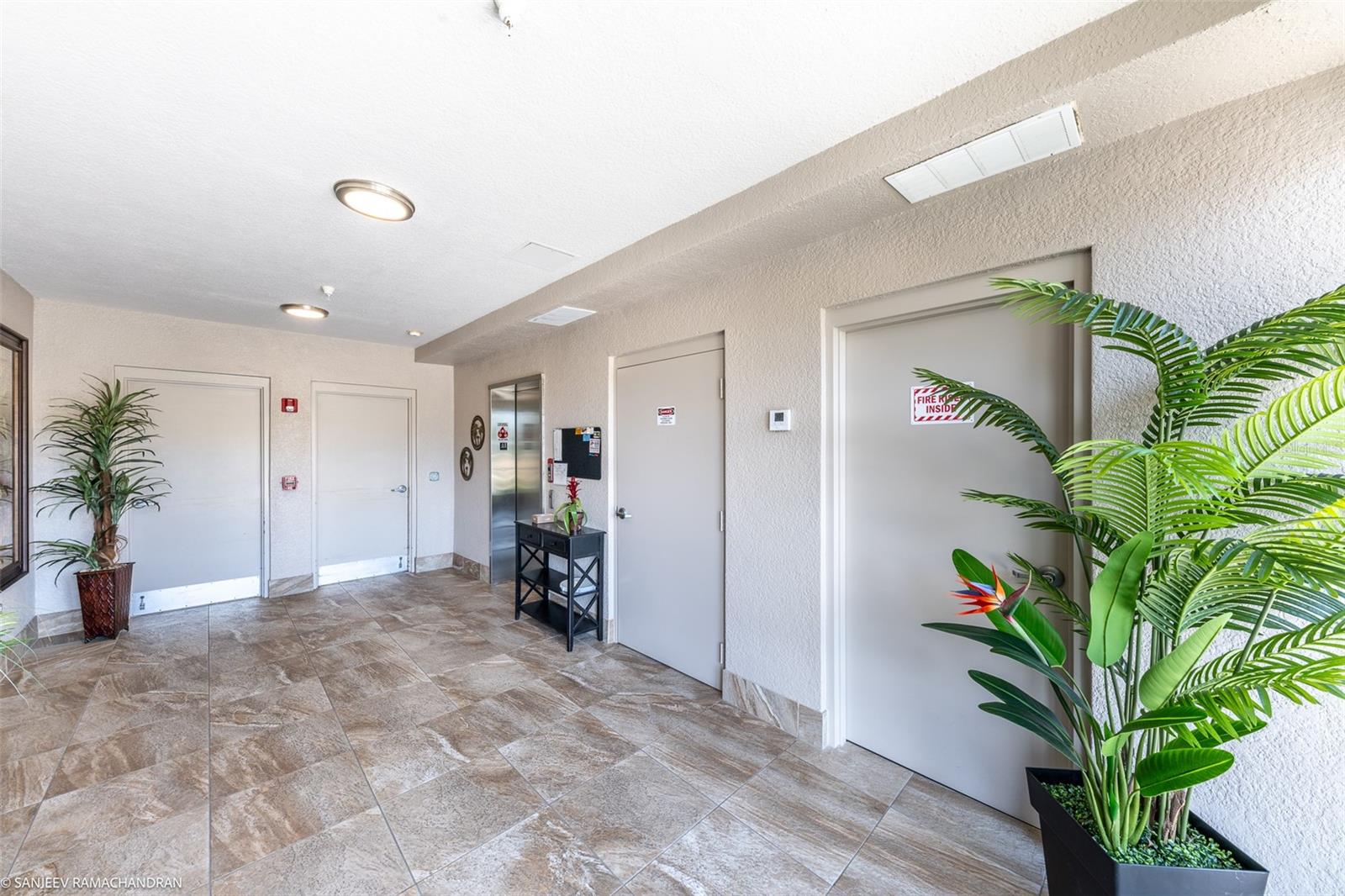 3322 Purple Martin Dr #132 Property Photo 4