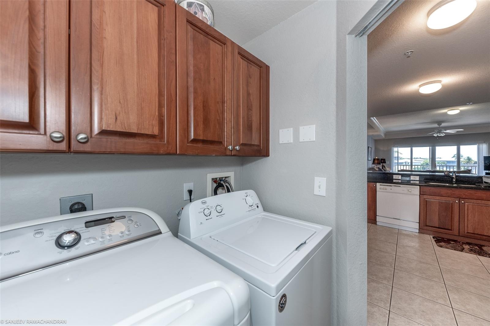 3322 Purple Martin Dr #132 Property Photo 49