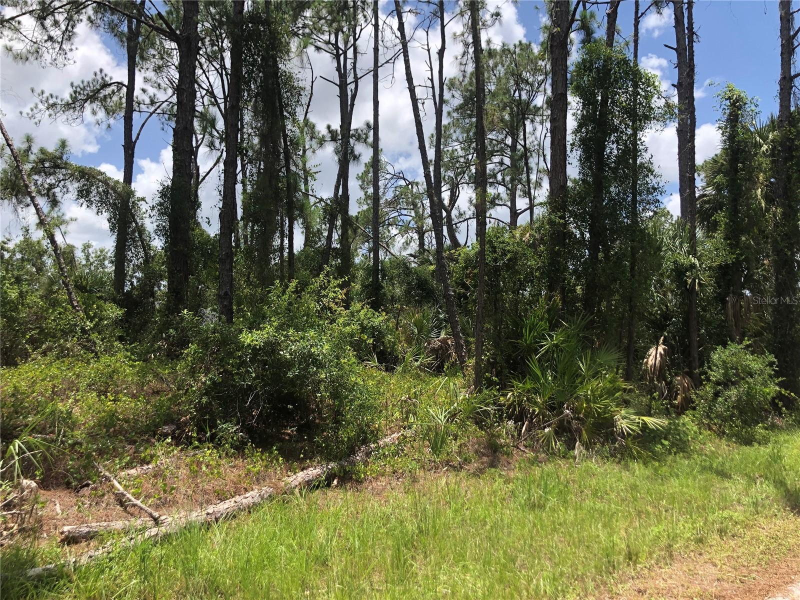 Apricola Rd Property Photo 2