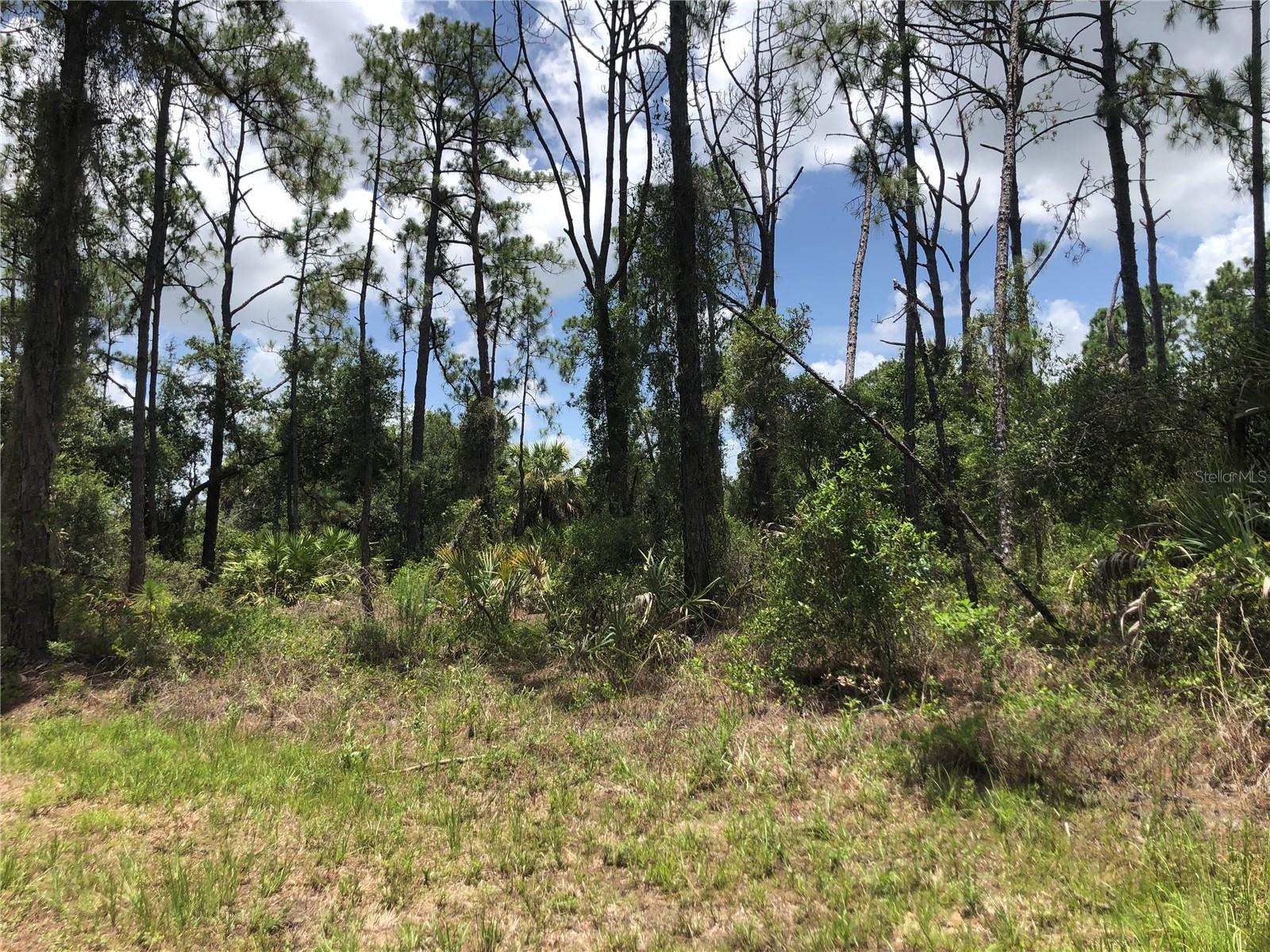 Apricola Rd Property Photo 3