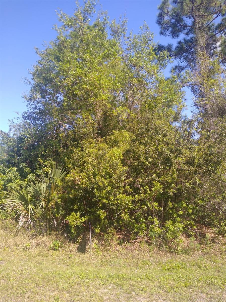 306 MCDILL DR Property Photo 1