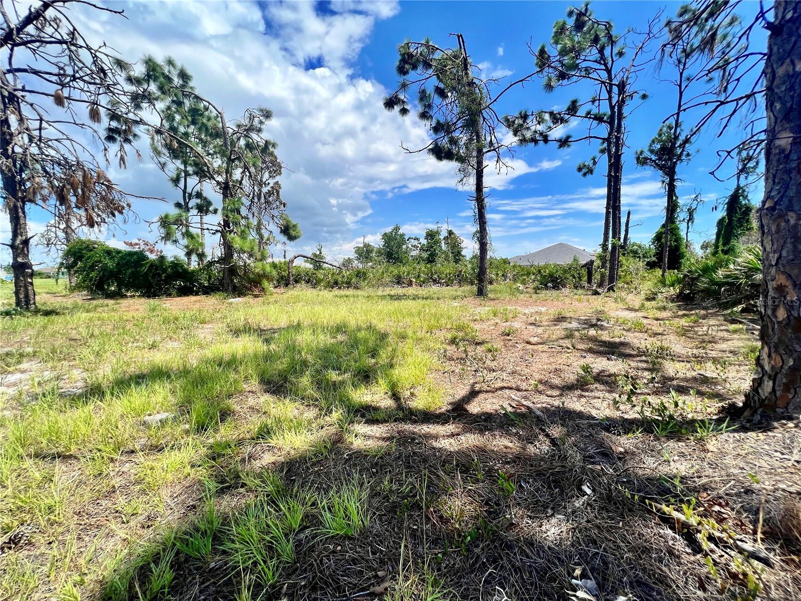 228 Fairway Rd Property Photo 1