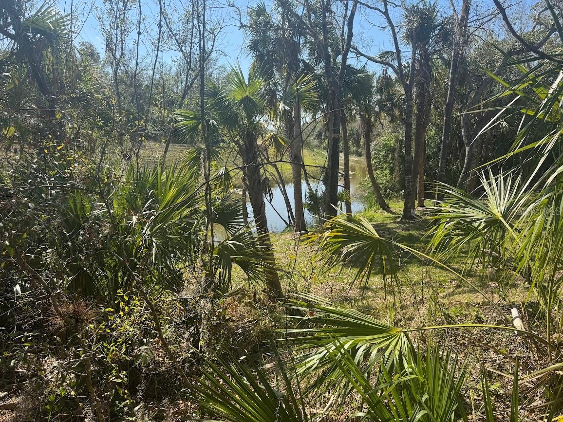 Lot 30 New London St Property Photo 2