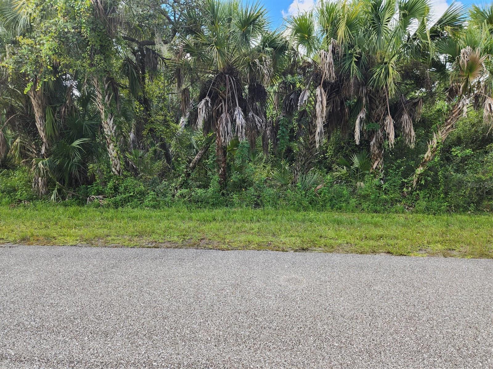 16227 Orrick Ave Property Photo 2