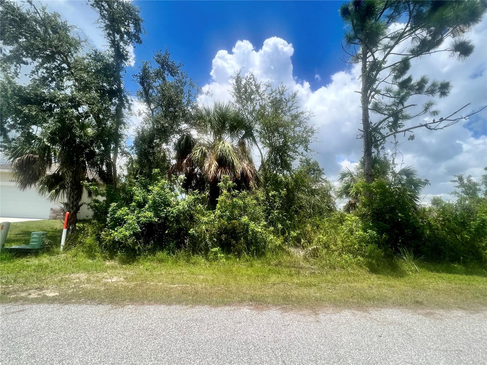 12040 EDWARDS RD Property Photo 1