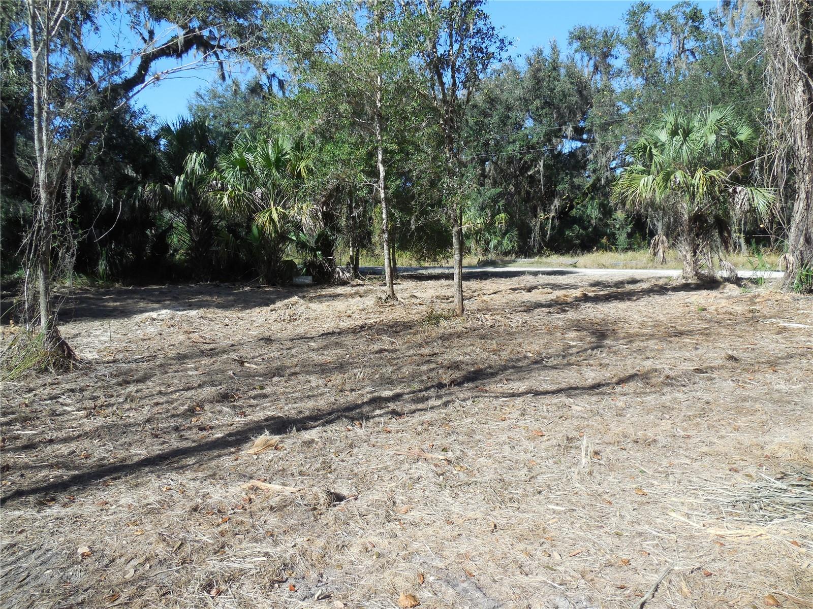 152 Tall Oak Trl Property Photo 3