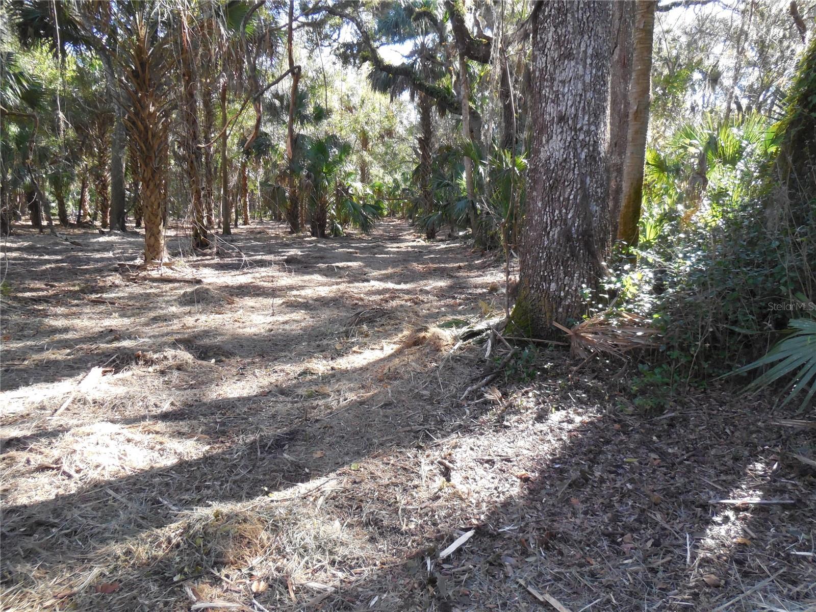 152 Tall Oak Trl Property Photo 4