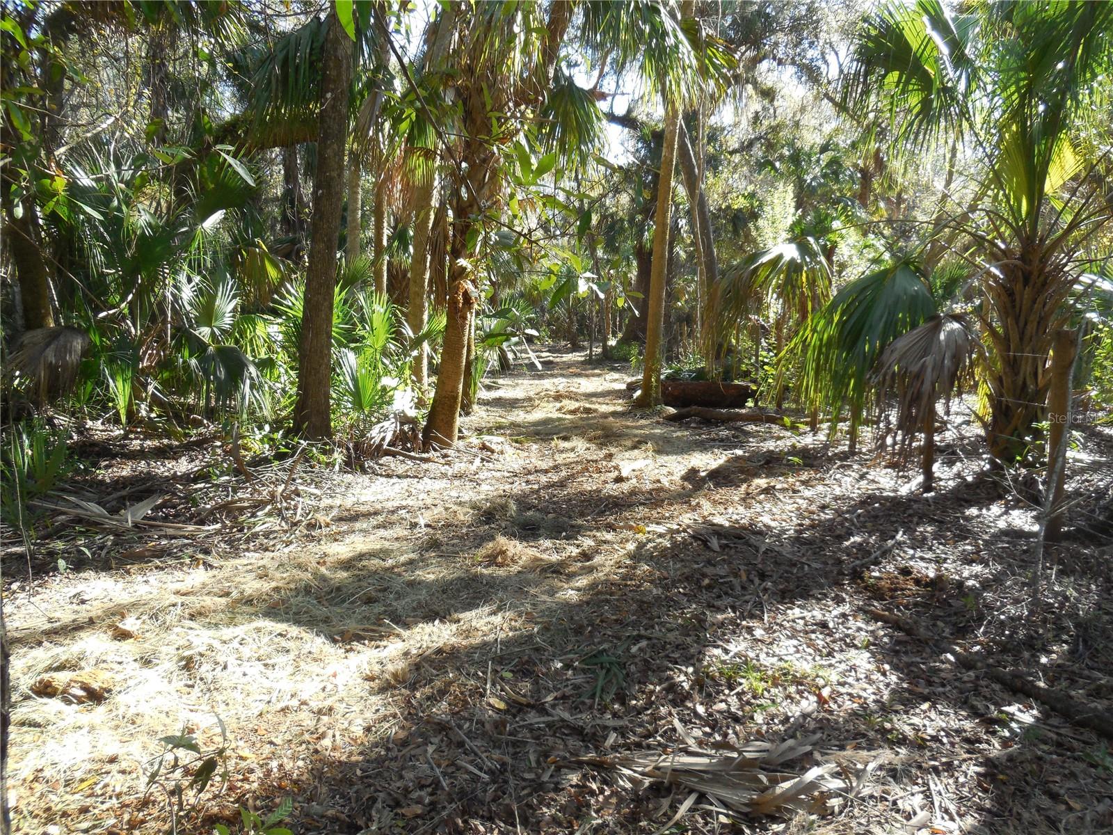 152 Tall Oak Trl Property Photo 9