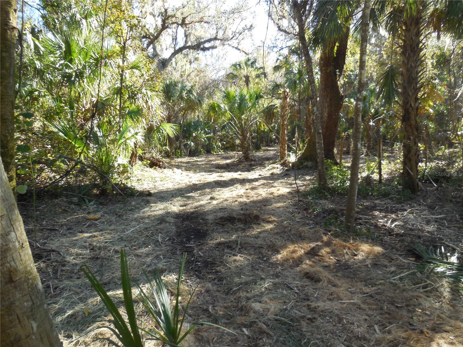 152 Tall Oak Trl Property Photo 10