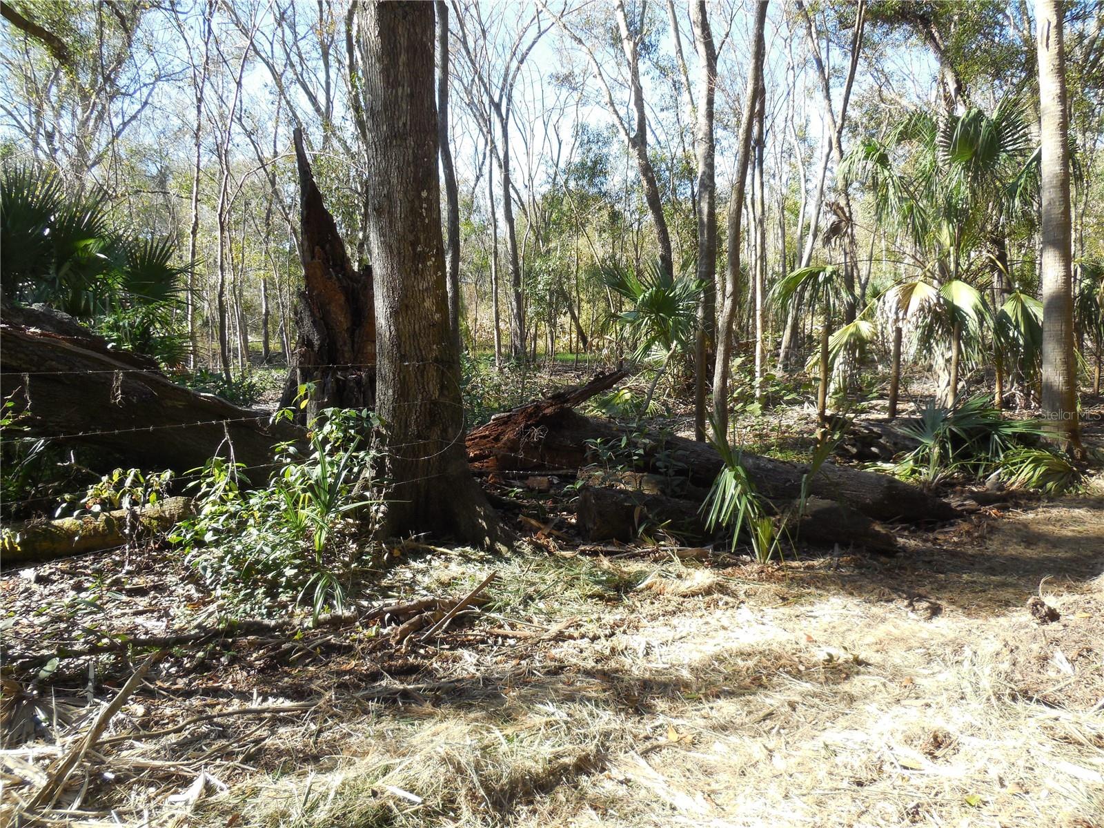 152 Tall Oak Trl Property Photo 11