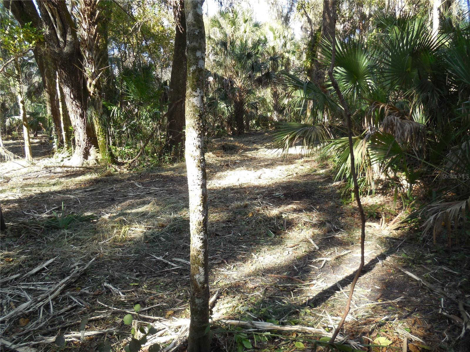 152 Tall Oak Trl Property Photo 12