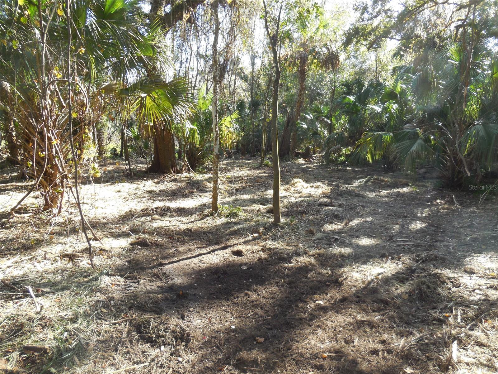 152 Tall Oak Trl Property Photo 13