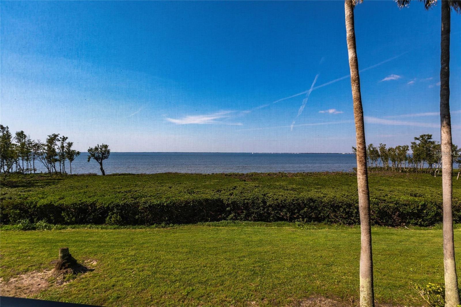 93 Vivante Blvd #9323 Property Photo 4