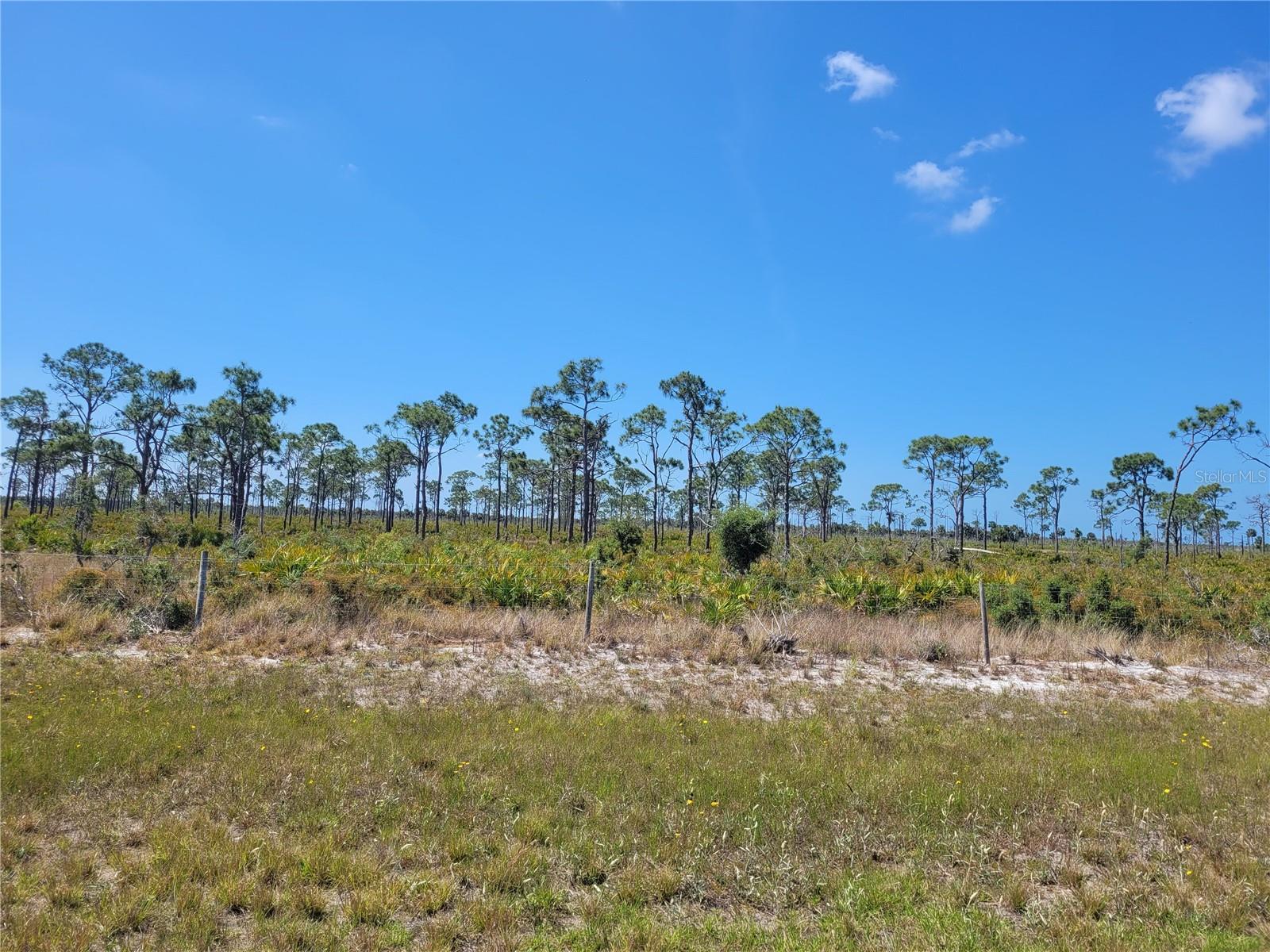 12076 Sea-robin Ln Property Photo 6