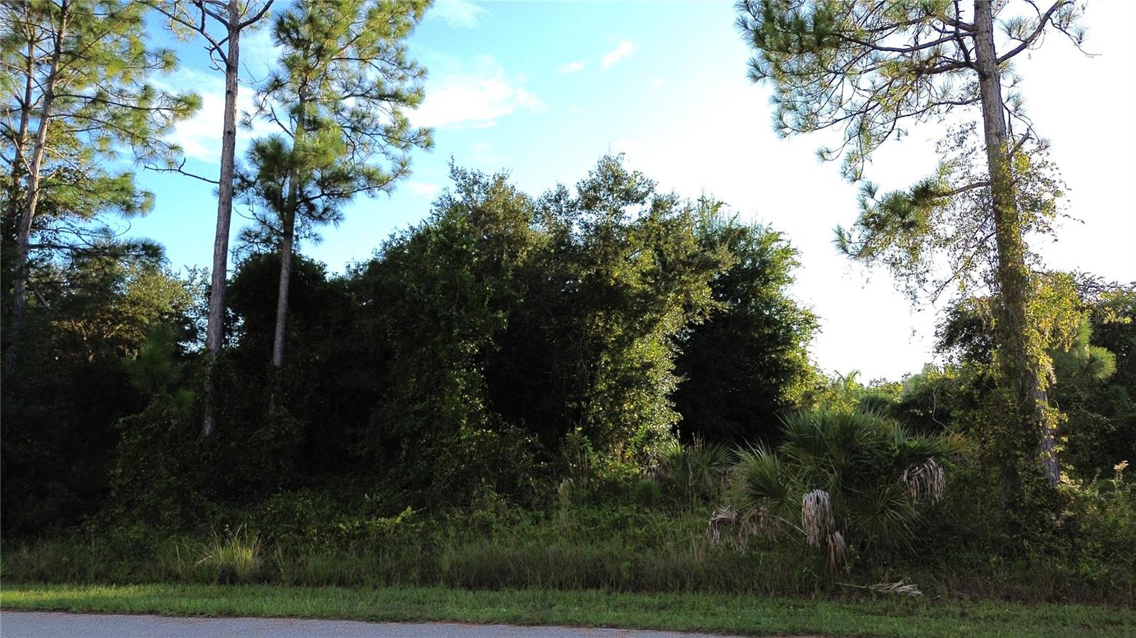 Kingsman Ave Property Photo 1