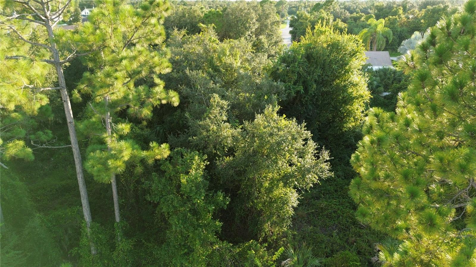 Kingsman Ave Property Photo 2