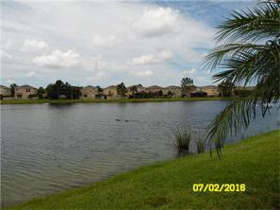 12959 Tigers Eye Dr Property Photo 17