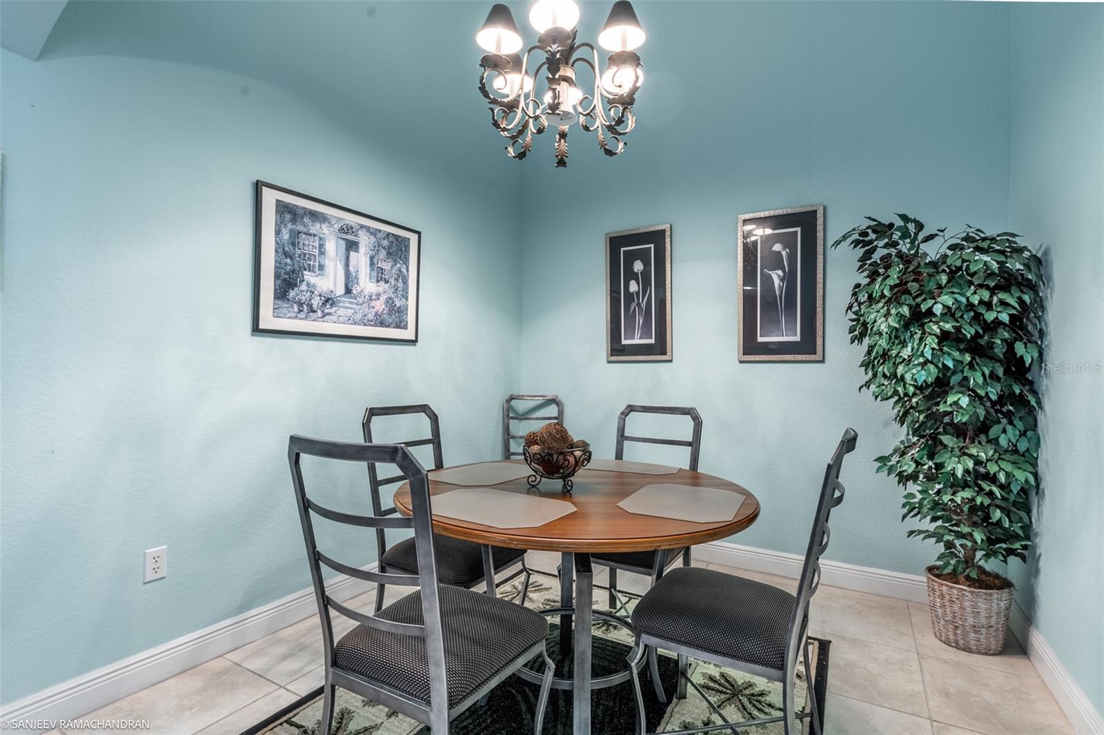 3228 Purple Martin Drive Dr #125 Property Photo 10