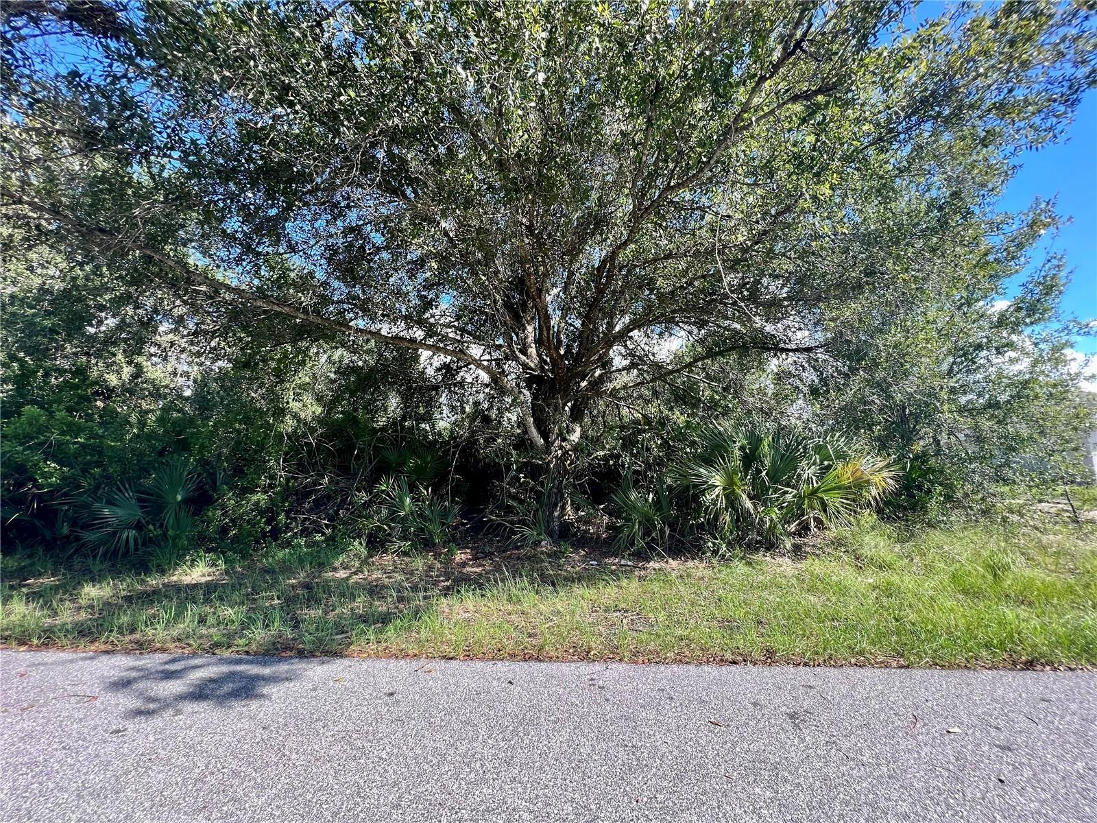 5542 EYERLY TER Property Photo 1