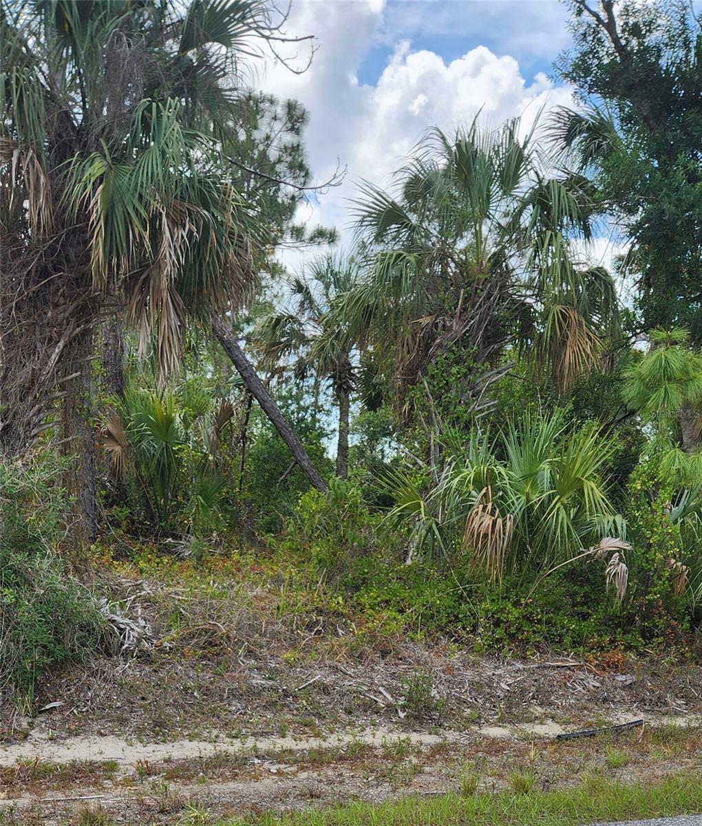 Mcginnis Ter Property Photo 2