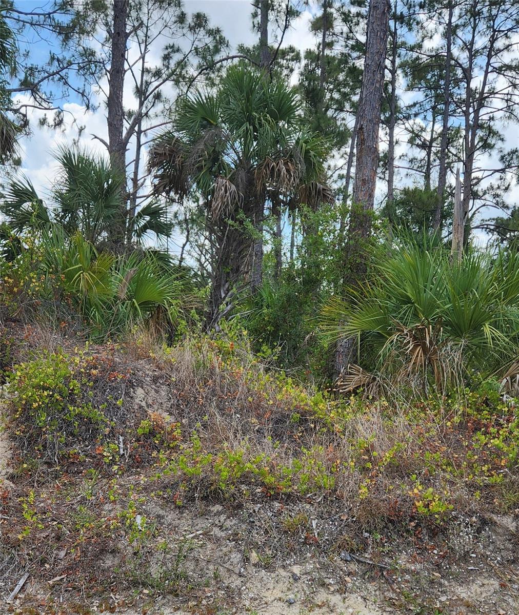 Mcginnis Ter Property Photo 2