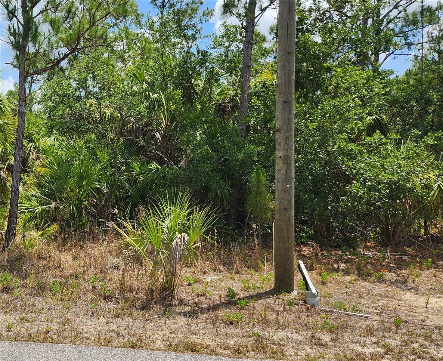 Inverness St Property Photo 2