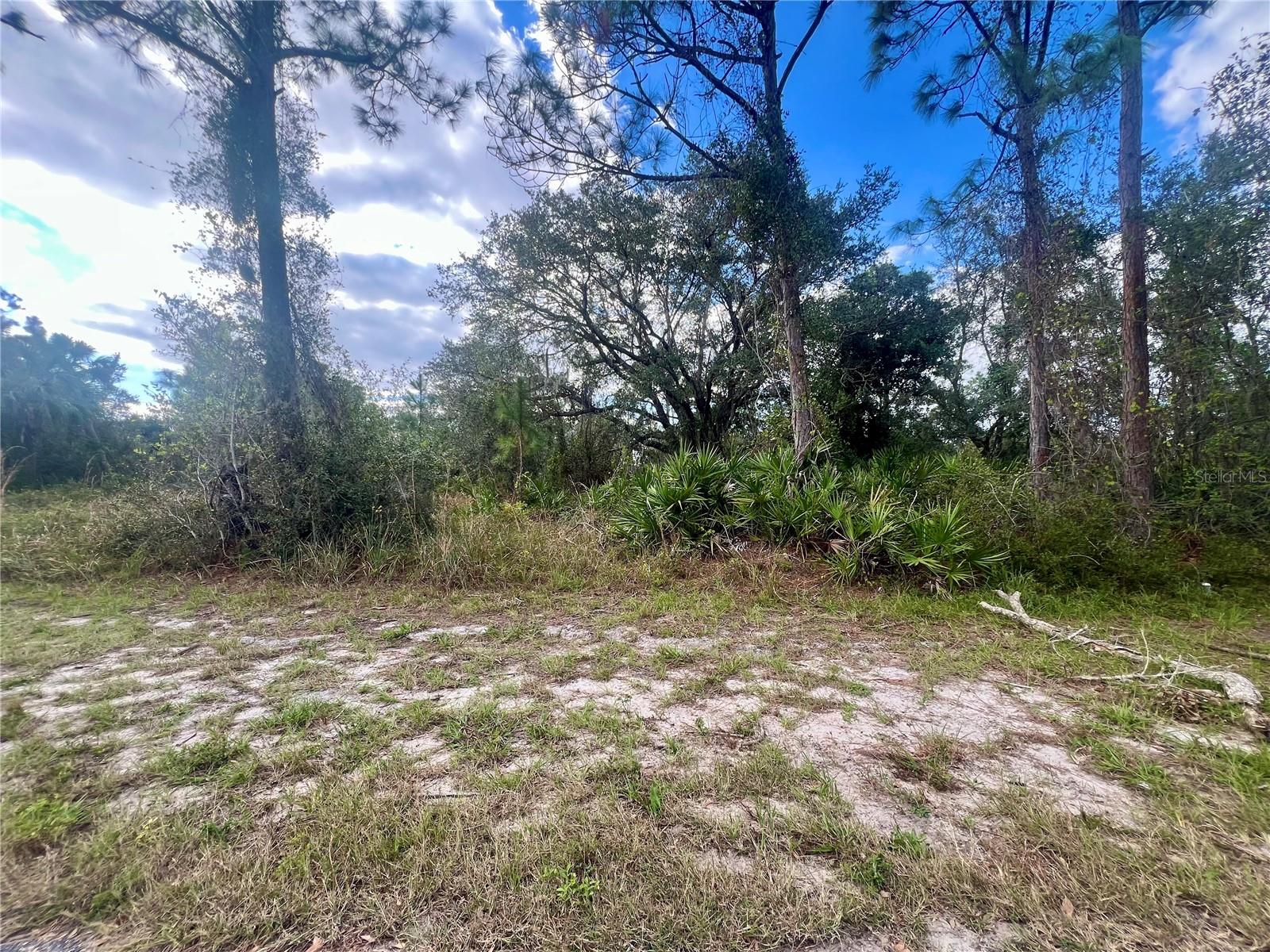 1123 BOWMAN TER Property Photo 1