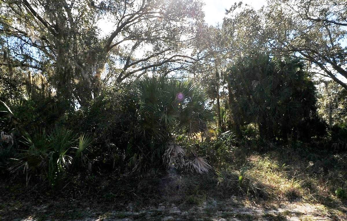 Adolph Lots 10 & 11 Ave Property Photo 1