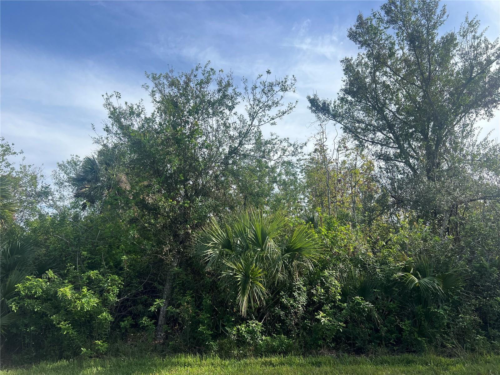 7168 Lippman Rd Property Photo 3