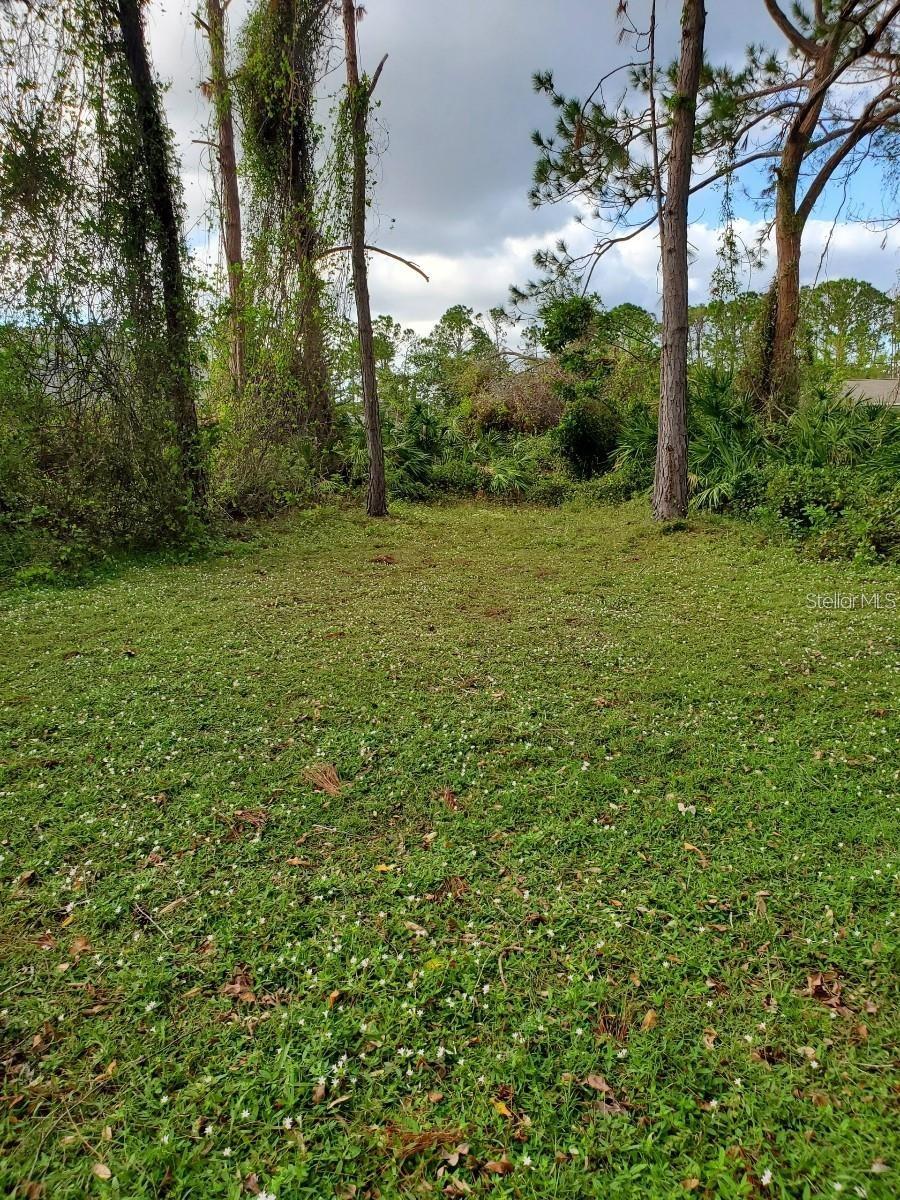 Slayton Ave Property Photo 6