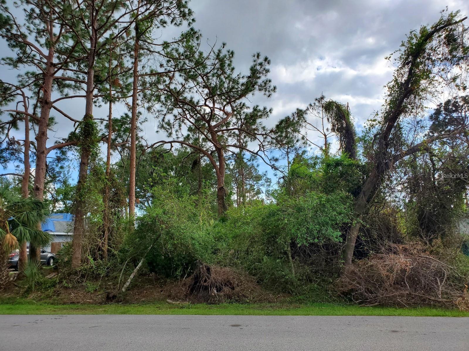 Slayton Ave Property Photo 8