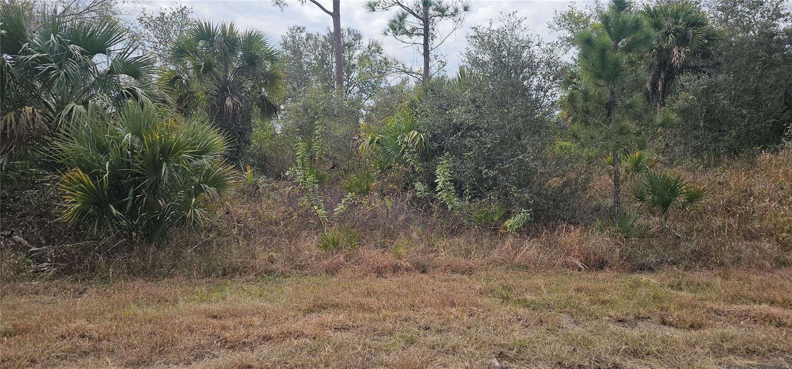 Lot 3 Tuttle Ln Property Photo 3