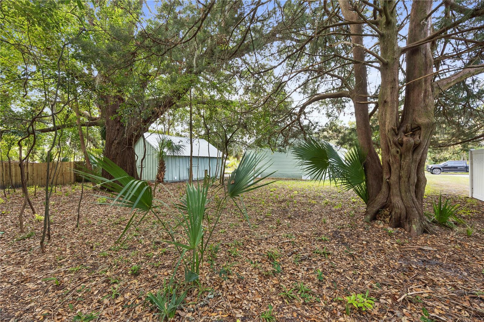 101 1/2 Palmer St Property Photo 43