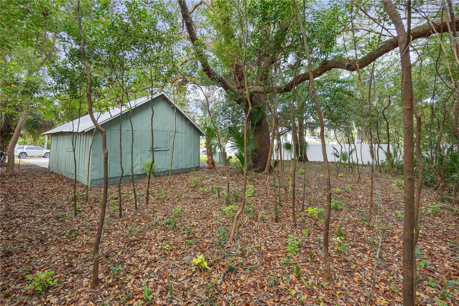 101 1/2 Palmer St Property Photo 44