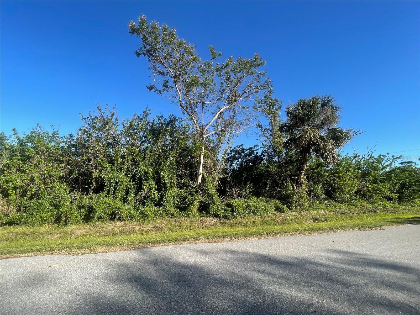 26516 Flower Rd Property Photo 3