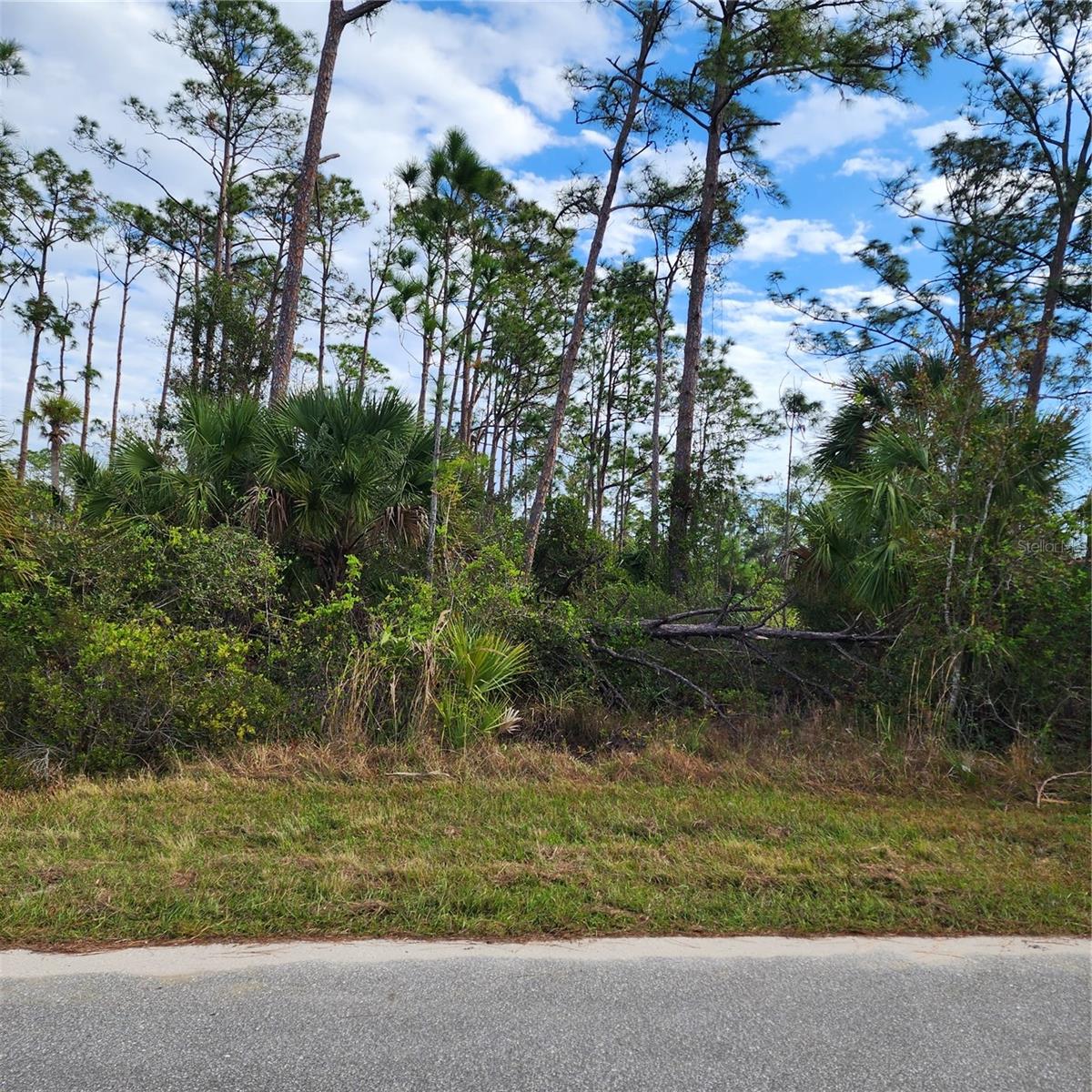 15130 CAROUSEL LN Property Photo 1