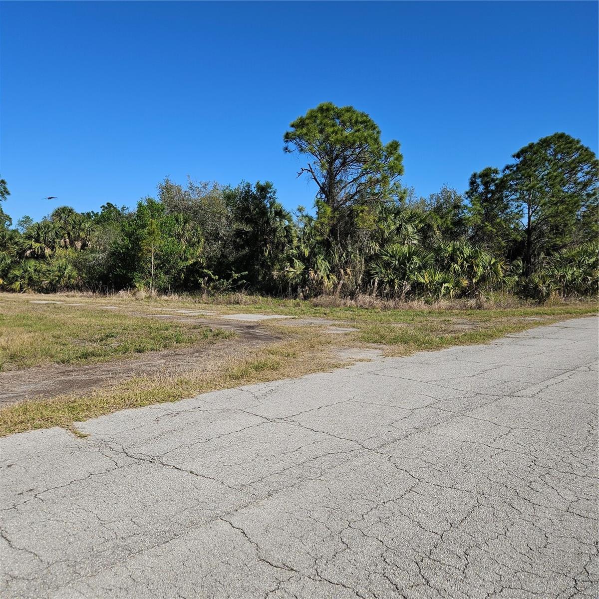 Custer Cir Property Photo 4