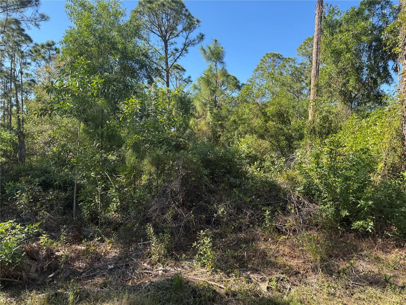 12331 Graffiti Dr Property Photo 3