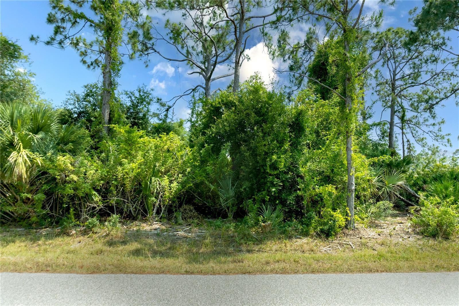 18117 Bly Avenue Property Photo 11