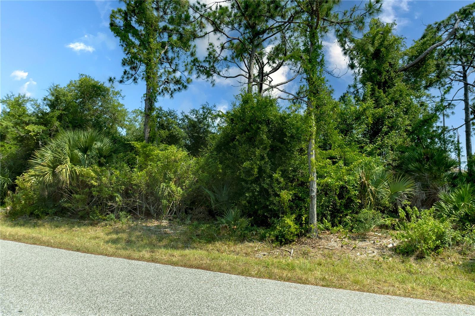 18117 Bly Avenue Property Photo 12