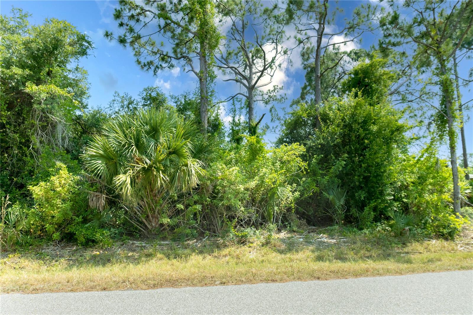 18117 Bly Avenue Property Photo 13