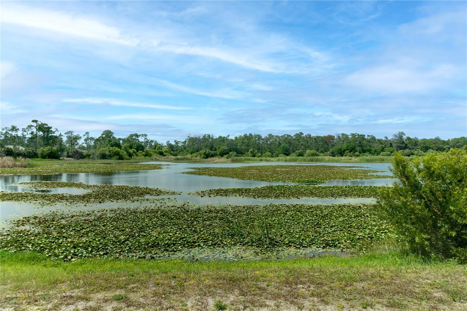 18117 Bly Avenue Property Photo 19