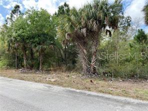 3399 Jewel St Property Photo 3