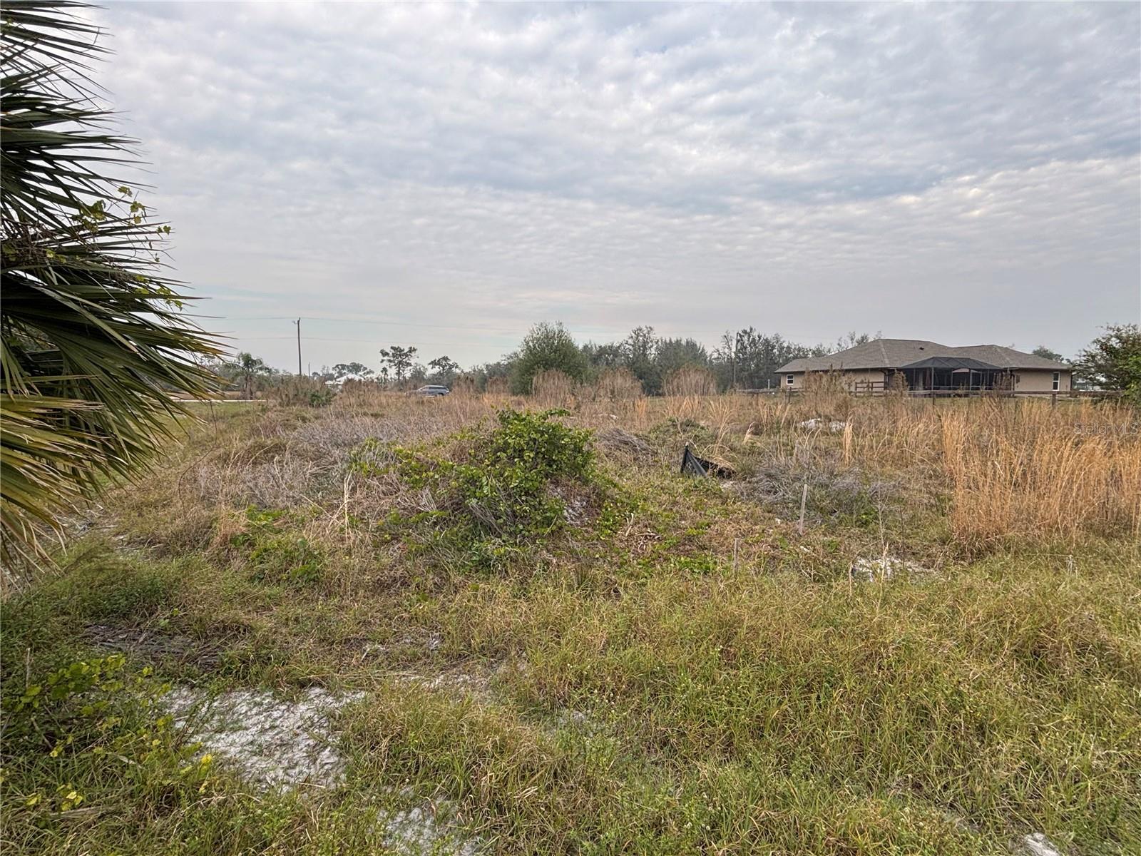 31083 Peace St Property Photo 3