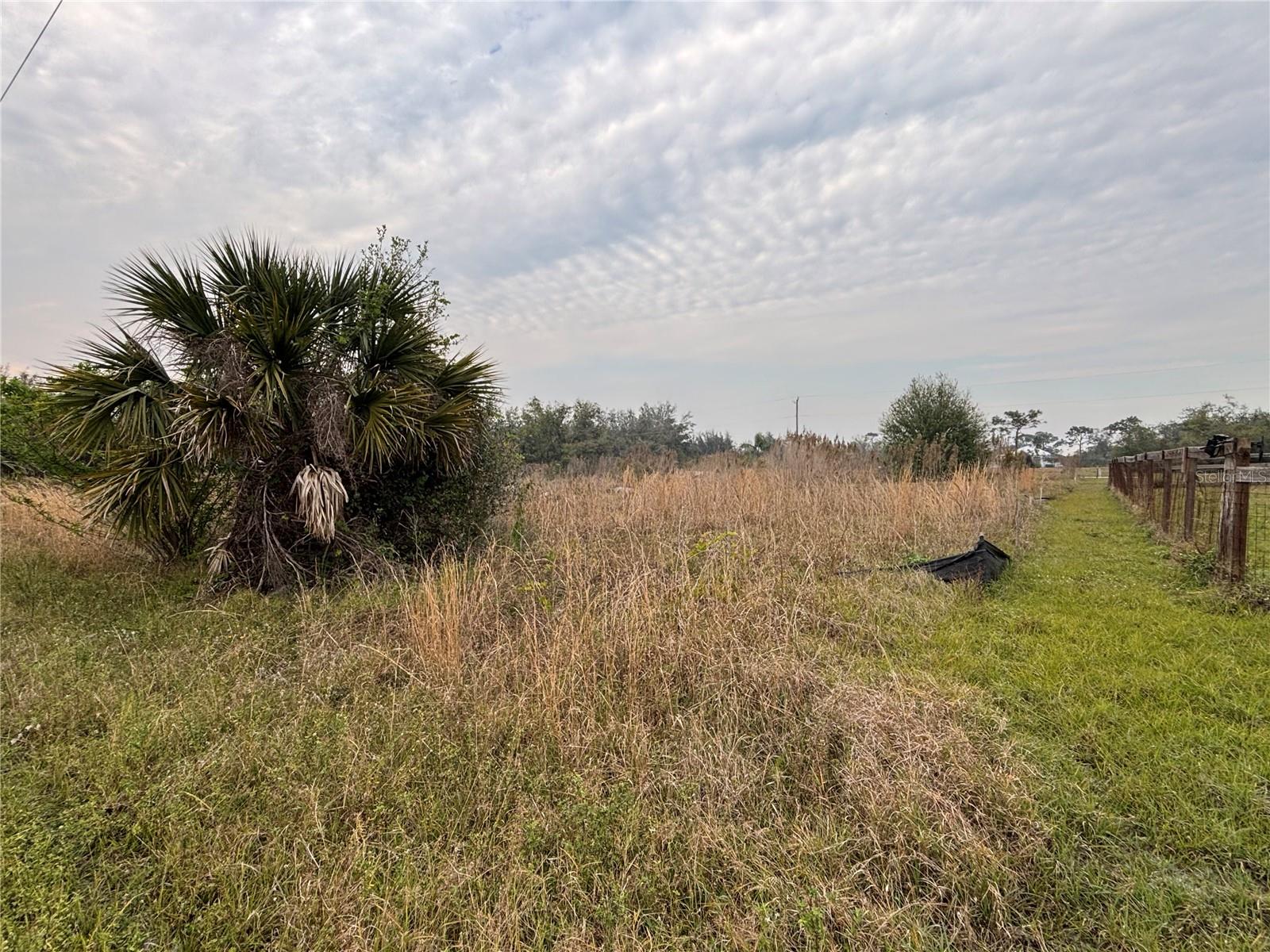31083 Peace St Property Photo 4